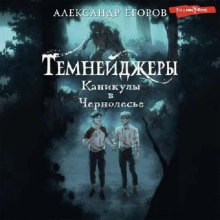 Темнейджеры 1, Каникулы в Чернолесье аудиокнига скачать торрент