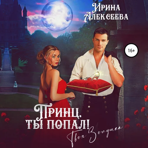 Принц, ты попал! Твоя Золушка аудиокнига скачать торрент
