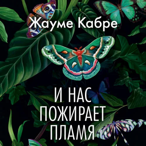 И нас пожирает пламя аудиокнига скачать торрент