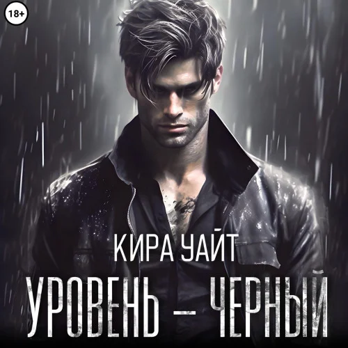 Уровень – Черный аудиокнига скачать торрент